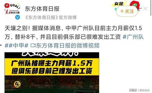 广州月嫂平台爆料案例最新,揭秘育儿嫂行业潜规则与真实案例  第2张
