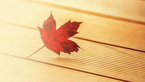 吃瓜日记真香记免费阅读,真香记免费阅读,揭秘娱乐圈幕后真相 第1张 吃瓜日记真香记免费阅读,真香记免费阅读,揭秘娱乐圈幕后真相 第1张